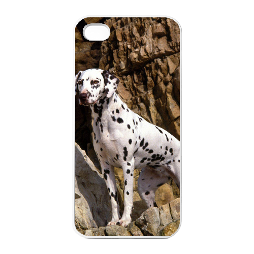 brave Dalmatian Charging Case for Iphone 4