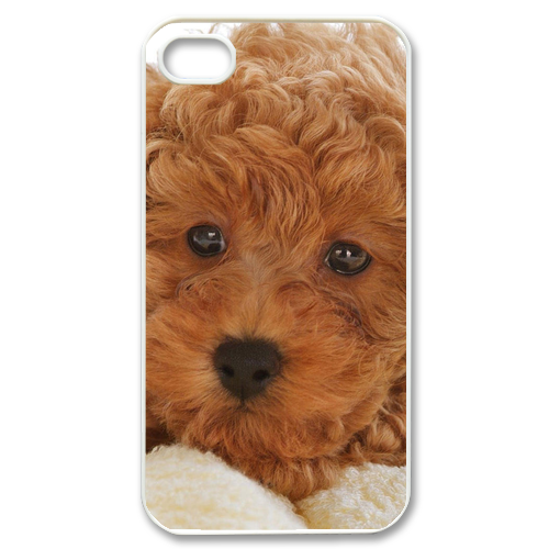 dog bear Case for iPhone 4,4S