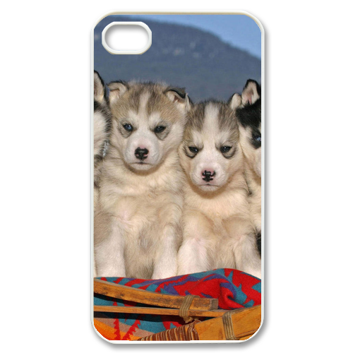 dog brothers Case for iPhone 4,4S