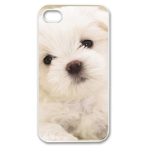 lonely bichon frise Case for iPhone 4,4S