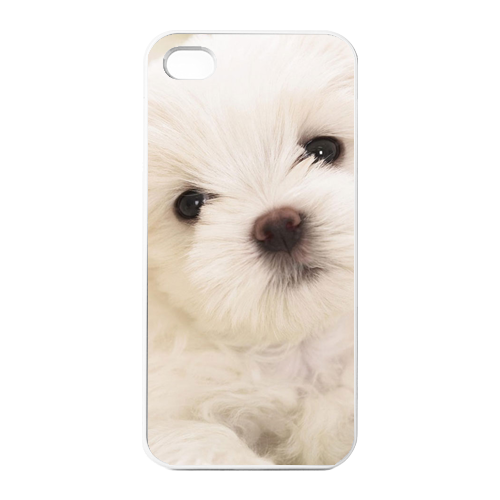 lonely bichon frise Charging Case for Iphone 4