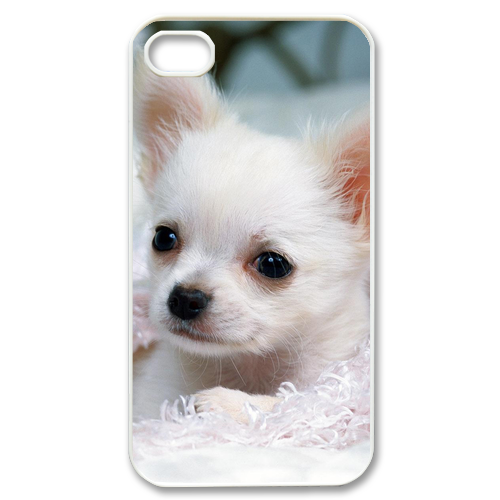 small white dog Case for iPhone 4,4S