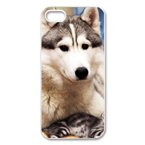the dog at home Case for Iphone 5