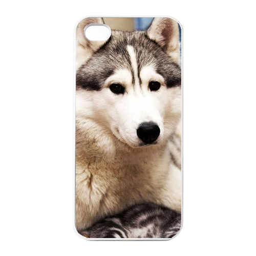 the dog at home Charging Case for Iphone 4