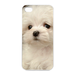 bichon frise Charging Case for Iphone 4