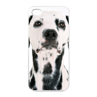 Dalmatians Charging Case for Iphone 4