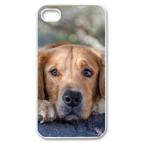 looking forward dog Case for iPhone 4,4S