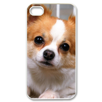 Papillon Case for iPhone 4,4S