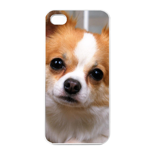 Papillon Charging Case for Iphone 4