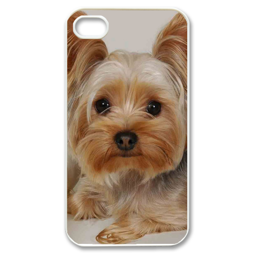 pity dog Case for iPhone 4,4S