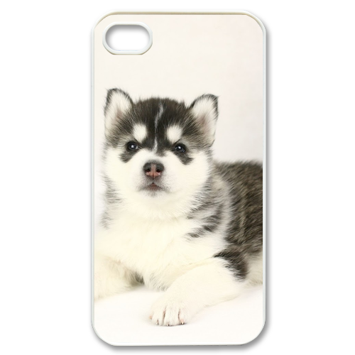 Siberian Husky Case for iPhone 4,4S