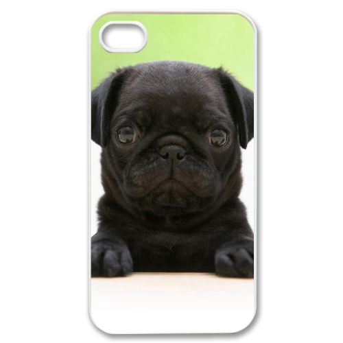 small black dog Case for iPhone 4,4S
