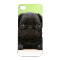 small black dog Charging Case for Iphone 4