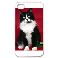 young cat Case for iPhone 4,4S