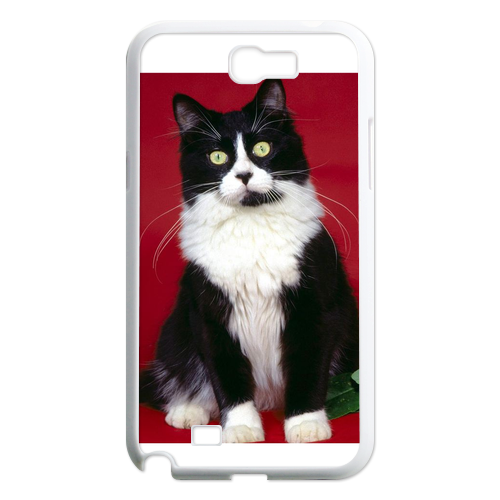 young cat Case for Samsung Galaxy Note 2 N7100