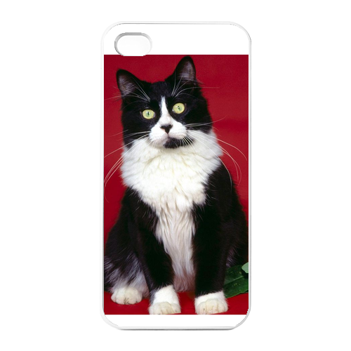 young cat Charging Case for Iphone 4