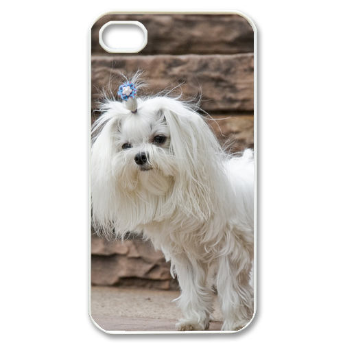 pretty dog Case for iPhone 4,4S
