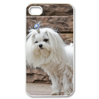 pretty dog Case for iPhone 4,4S