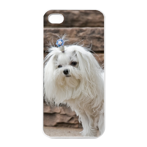 pretty dog Charging Case for Iphone 4