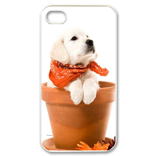 self-confident dog Case for iPhone 4,4S
