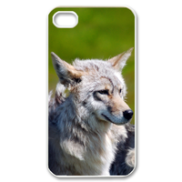 shepherd dogs Case for iPhone 4,4S