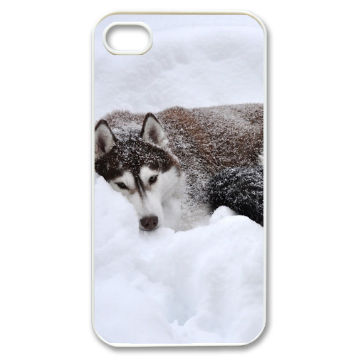 siberian husky in the snow Case for iPhone 4,4S