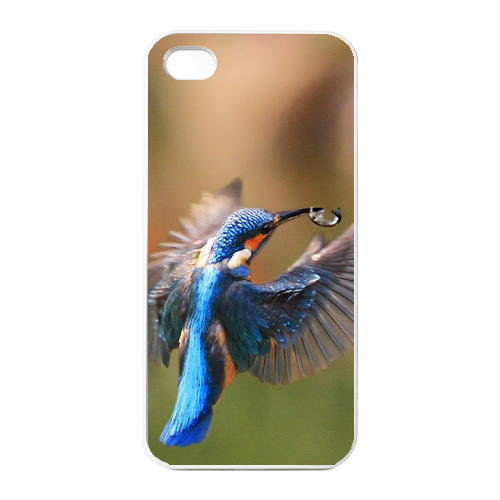 two kingfisher Charging Case for Iphone 4
