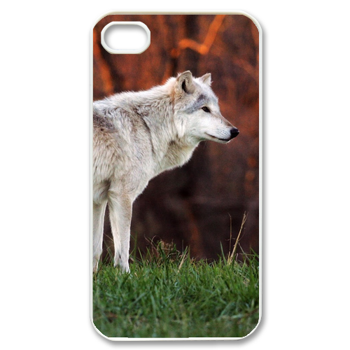 white shepherd dog Case for iPhone 4,4S