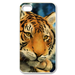 tiger on the tree Case for iPhone 4,4S