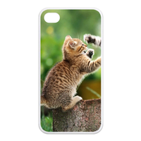 fighting cats Case for Iphone 4,4s (TPU)