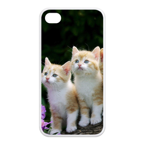 four cat brothers Case for Iphone 4,4s (TPU)