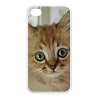 gentleman cat Case for Iphone 4,4s (TPU)