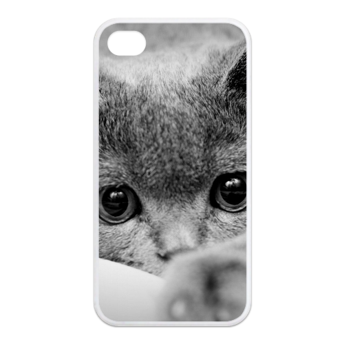 grey cat Case for Iphone 4,4s (TPU)
