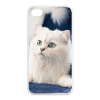 persian cat Case for Iphone 4,4s (TPU)