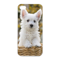 the cat in the basket Charging Case for Iphone 4