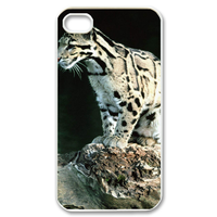 the leopard on the branch Case for iPhone 4,4S