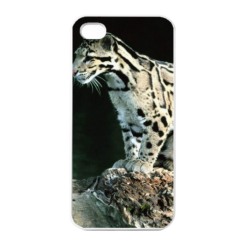 the leopard on the branch Charging Case for Iphone 4