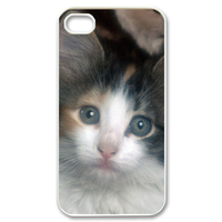 the missing cat Case for iPhone 4,4S
