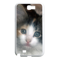 the missing cat Case for Samsung Galaxy Note 2 N7100