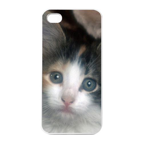 the missing cat Charging Case for Iphone 4