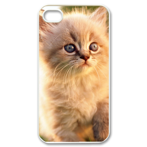 the morning cat Case for iPhone 4,4S