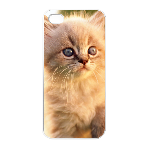 the morning cat Charging Case for Iphone 4