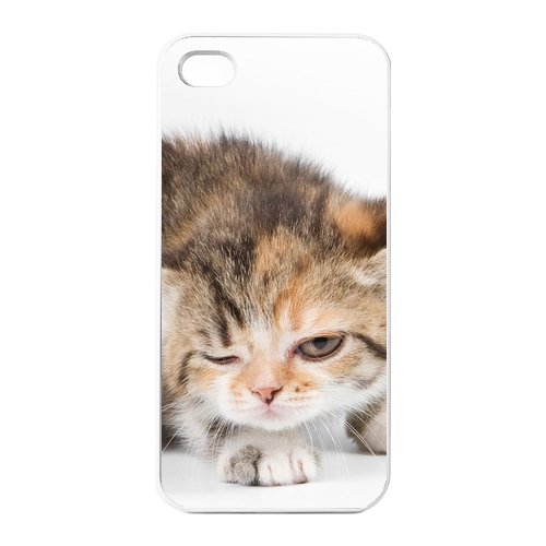 the thinking cat Charging Case for Iphone 4
