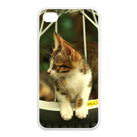 cat on the wheel Case for Iphone 4,4s (TPU)