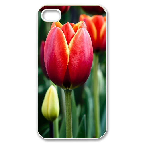 nice tulips Case for iPhone 4,4S