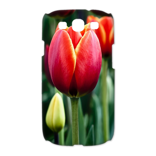 nice tulips Case for Samsung Galaxy S3 I9300 (3D)