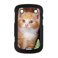 the cat home Case for BlackBerry Bold Touch 9900