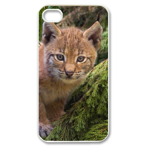 brown cat Case for iPhone 4,4S