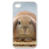 brown rabbit Case for iPhone 4,4S