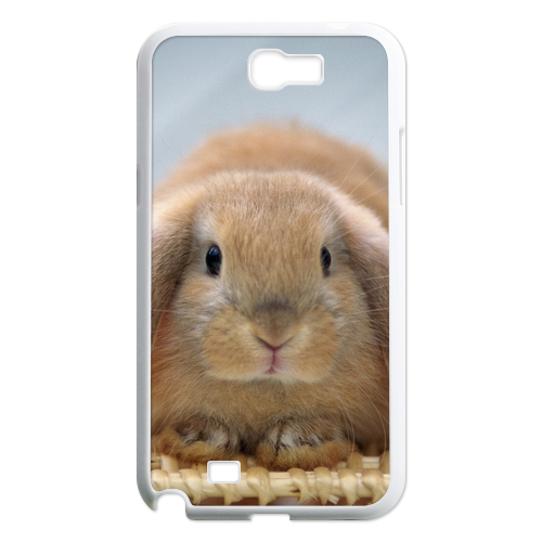 brown rabbit Case for Samsung Galaxy Note 2 N7100